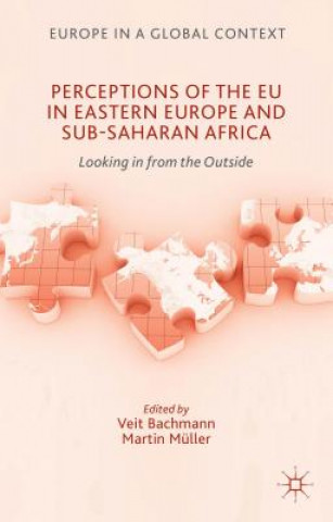 Könyv Perceptions of the EU in Eastern Europe and Sub-Saharan Africa V. Bachmann