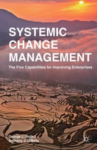 Kniha Systemic Change Management Anthony J. DiBella