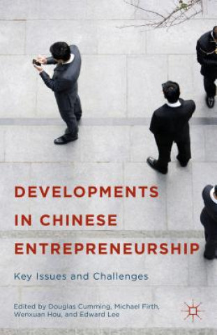 Kniha Developments in Chinese Entrepreneurship Douglas Cumming