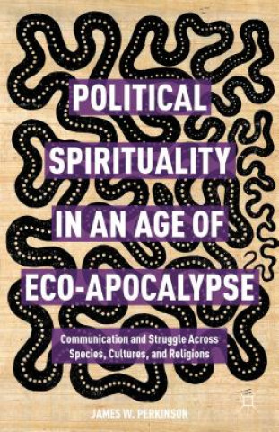 Книга Political Spirituality in an Age of Eco-Apocalypse James W. Perkinson