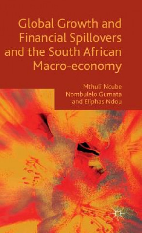 Könyv Global Growth and Financial Spillovers and the South African Macro-economy Eliphas Ndou