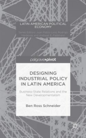 Kniha Designing Industrial Policy in Latin America: Business-State Relations and the New Developmentalism Ben Ross Schneider