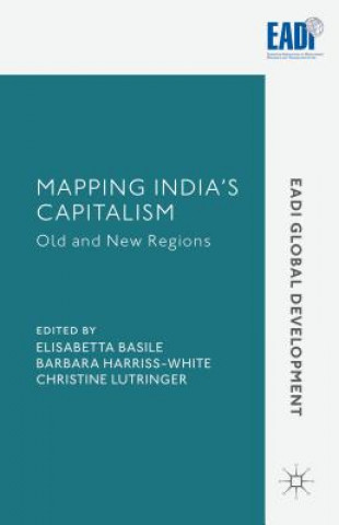 Kniha Mapping India's Capitalism Barbara Harriss-White