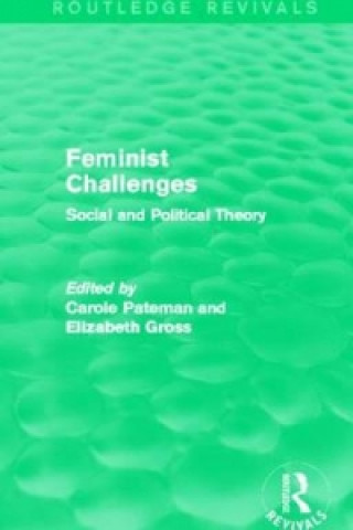 Kniha Feminist Challenges 
