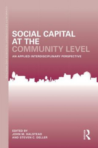 Kniha Social Capital at the Community Level John M. Halstead