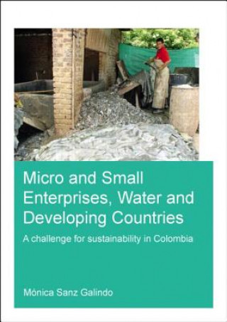 Книга Micro and Small Enterprises, Water and Developing Countries Monica Sanz