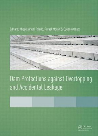 Carte Dam Protections against Overtopping and Accidental Leakage 