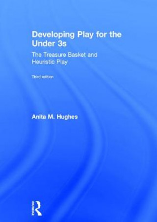 Könyv Developing Play for the Under 3s ANITA M. HUGHES
