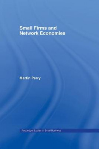 Kniha Small Firms and Network Economies Martin Perry