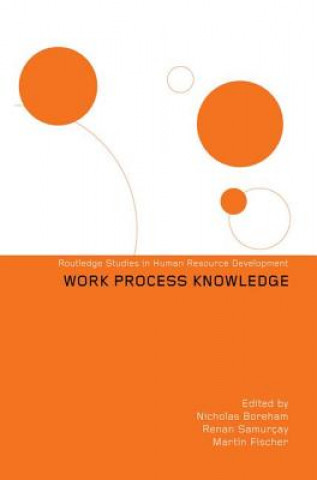 Книга Work Process Knowledge Martin Fischer