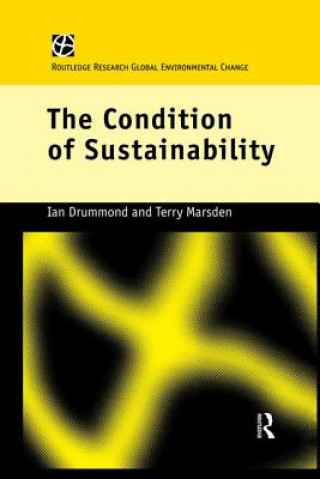 Livre Condition of Sustainability DRUMMOND