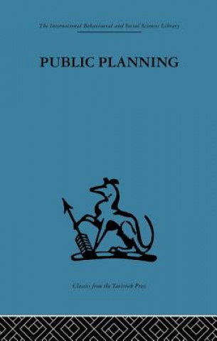 Книга Public Planning John Friend