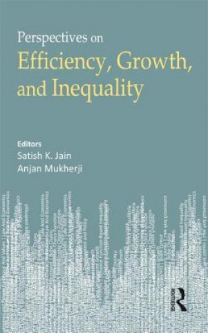 Könyv Economic Growth, Efficiency and Inequality 