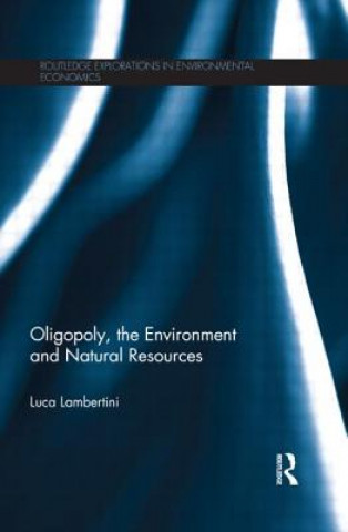 Kniha Oligopoly, the Environment and Natural Resources Luca Lambertini