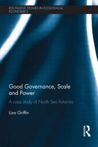 Книга Good Governance, Scale and Power Liza Griffin