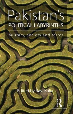 Könyv Pakistan's Political Labyrinths 