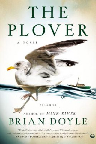 Książka Plover Brian Doyle