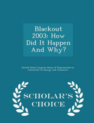 Libro Blackout 2003 