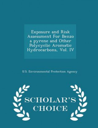 Carte Exposure and Risk Assessment for Benzo a Pyrene and Other Polycyclic Aromatic Hydrocarbons, Vol. IV - Scholar's Choice Edition 