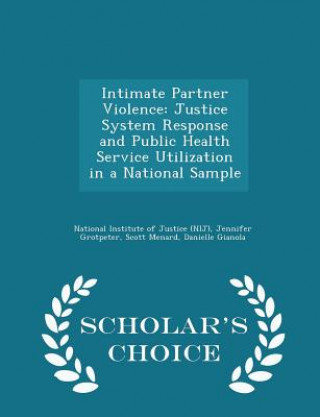 Buch Intimate Partner Violence Menard