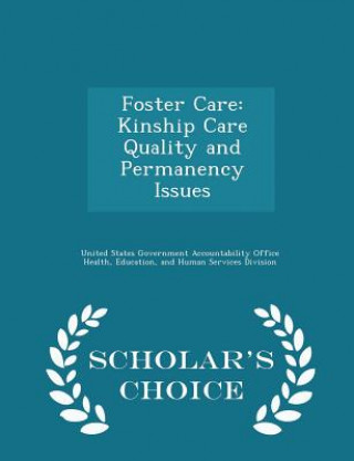 Kniha Foster Care 