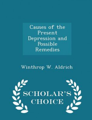 Kniha Causes of the Present Depression and Possible Remedies - Scholar's Choice Edition Winthrop W Aldrich