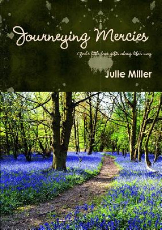 Kniha Journeying Mercies Julie Miller