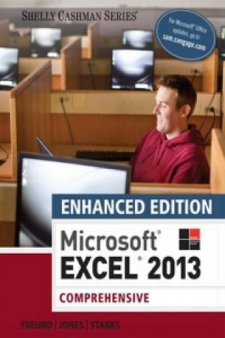 Buch Enhanced Microsoft (R)Excel (R) 2013 Starks