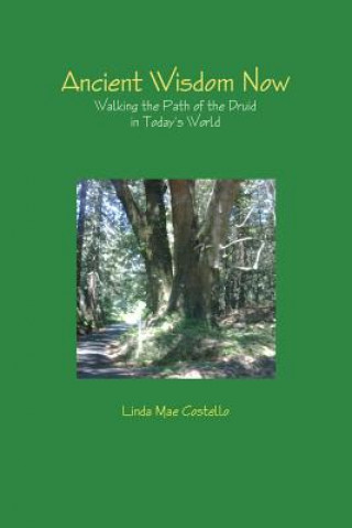 Kniha Ancient Wisdom Now Linda Mae Costello
