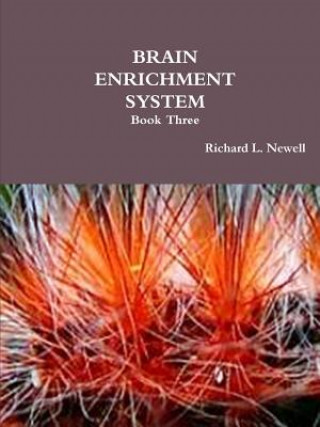 Kniha Brain Enrichment System Book Three Richard L Newell