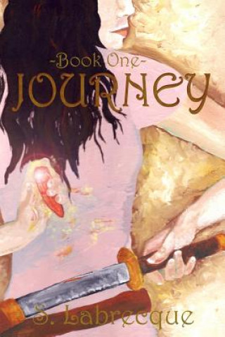 Libro Journey S Labrecque