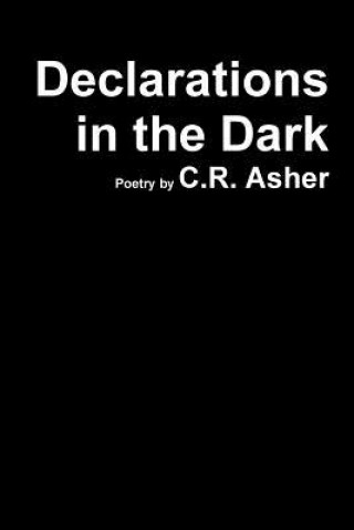 Kniha Declarations in the Dark C R Asher