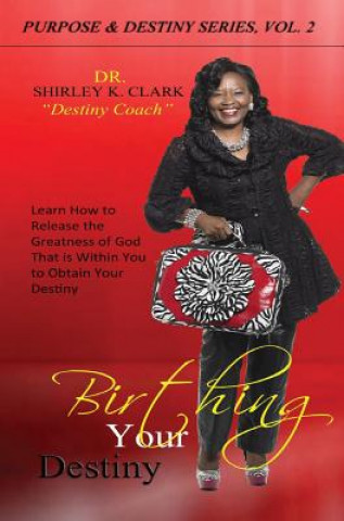 Livre Birthing Your Destiny Dr Shirley K Clark