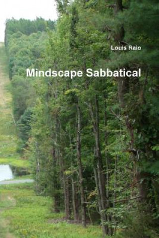 Könyv Mindscape Sabbatical Louis Raio