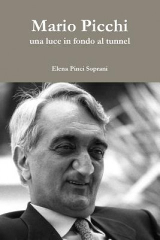 Könyv Mario Picchi - UNA Luce in Fondo Al Tunnel Elena Pinci Soprani