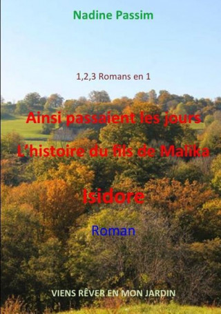 Buch 1,2,3 ROMANS EN 1  -AINSI PASSAIENT LES NADINE PASSIM