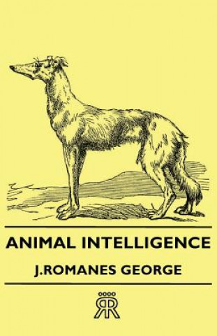 Carte Animal Intelligence J.Romanes George