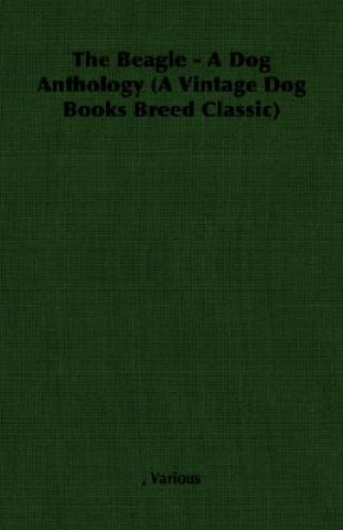 Book Beagle - A Dog Anthology (A Vintage Dog Books Breed Classic) Various