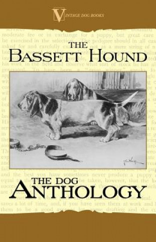 Carte Basset Hound - A Dog Anthology (A Vintage Dog Books Breed Classic) Various (selected by the Federation of Children's Book Groups)