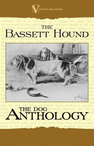 Könyv Basset Hound - A Dog Anthology (A Vintage Dog Books Breed Classic) Various (selected by the Federation of Children's Book Groups)