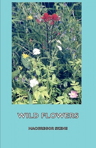 Carte Wild Flowers MacGregor Skene