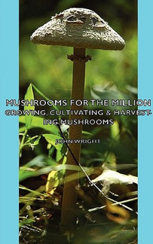 Buch Mushrooms For The Million - Growing, Cultivating & Harvesting Mushrooms Wright