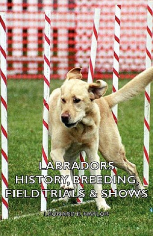 Carte Labradors - History, Breeding, Field Trials & Shows Naylor