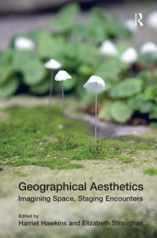 Libro Geographical Aesthetics Dr. Elizabeth Straughan