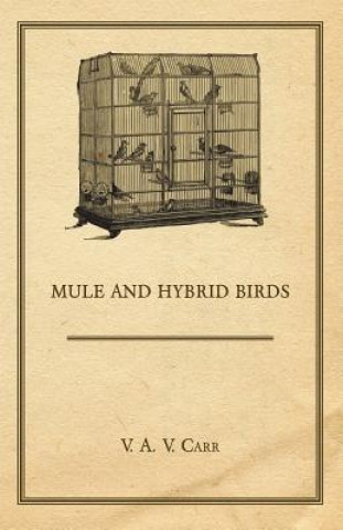Könyv Mule And Hybrid Birds V. A. V. Carr