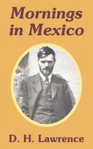 Kniha Mornings in Mexico D H Lawrence