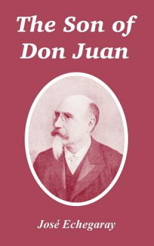 Kniha Son of Don Juan Jose Echegaray