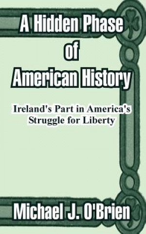 Buch Hidden Phase of American History Professor Michael J O'Brien