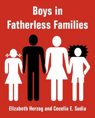 Livre Boys in Fatherless Families Cecelia E Sudia