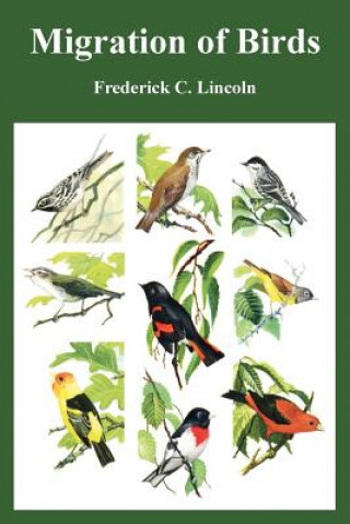 Kniha Migration of Birds Frederick C Lincoln